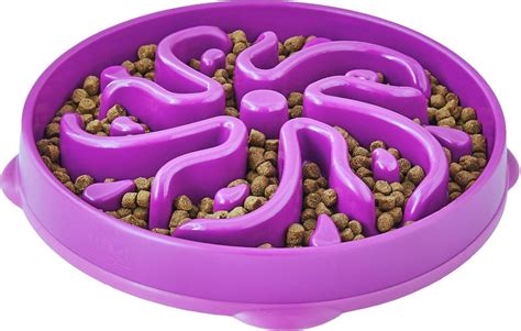 purple dp|Amazon.com: Outward Hound Fun Feeder Slo Bowl, .